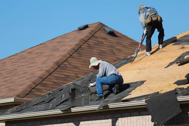 Best Roof Maintenance and Cleaning  in Oakville, MO