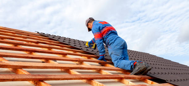 Best Commercial Roofing Services  in Oakville, MO